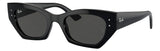 Gafas de Sol Ray Ban Zena Unisex RB4430