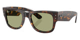 Gafas Ray Ban RB0840S