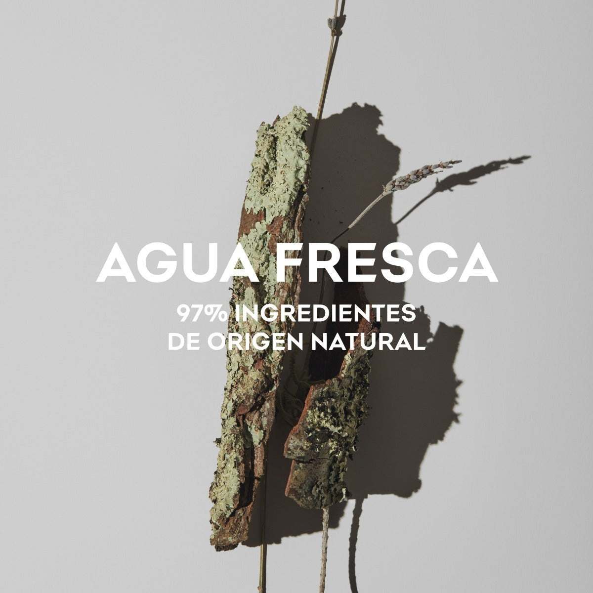 Agua Fresca EDT 120 ml