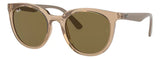Gafas De Sol Ray Ban Unisex Rb4383l