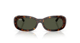Gafas de Sol Ray Ban  RB2221