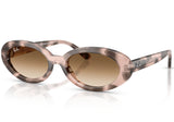 Gafas de Sol Ray Ban Unisex RB2223