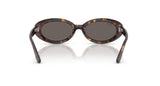 Gafas de Sol Ray Ban Unisex RB2223