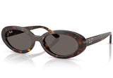 Gafas de Sol Ray Ban Unisex RB2223