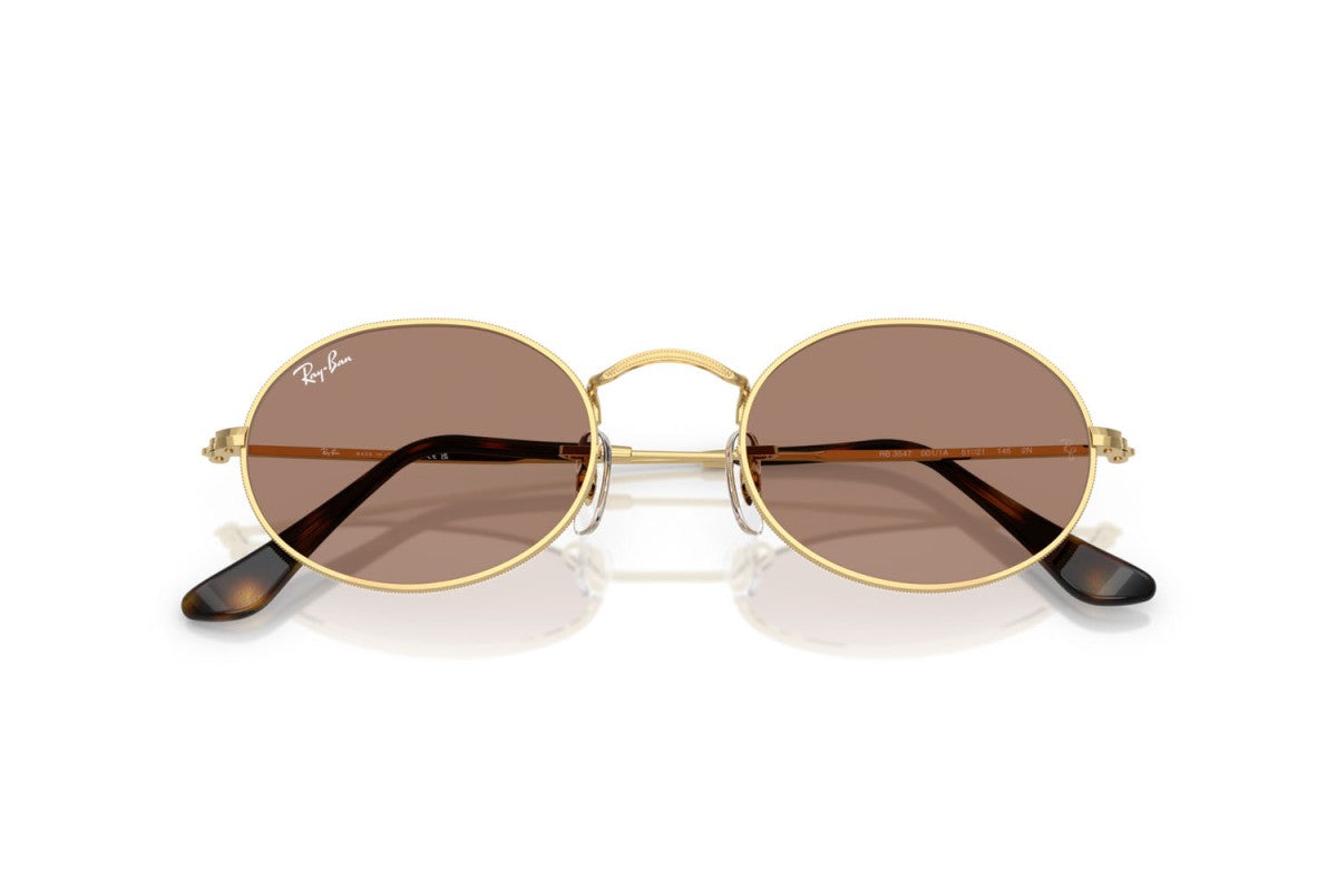 Gafas de sol Ray Ban Unisex Rb3547