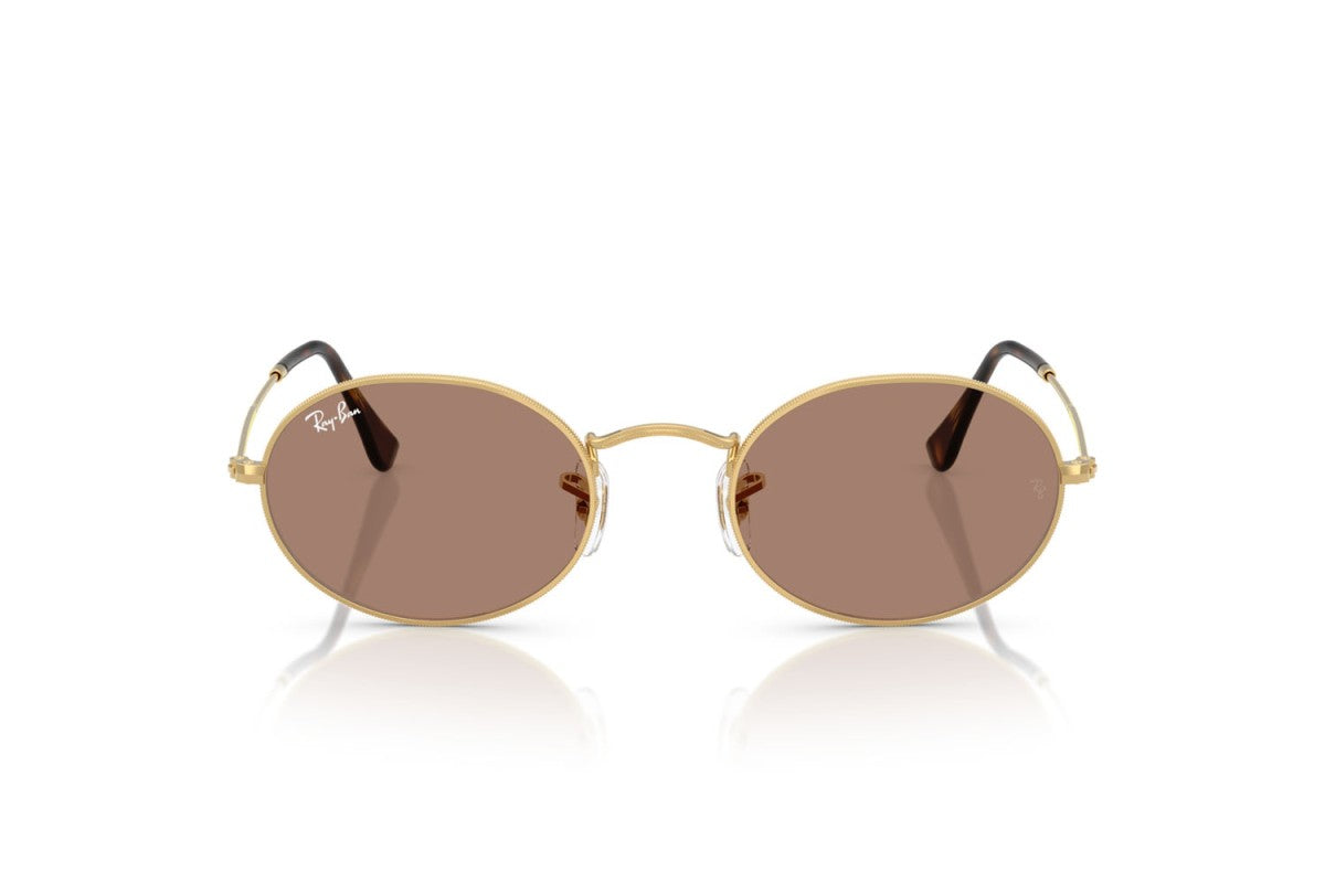 Gafas de sol Ray Ban Unisex Rb3547