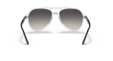 Gafas de Sol Ray Ban Unisex RB4376