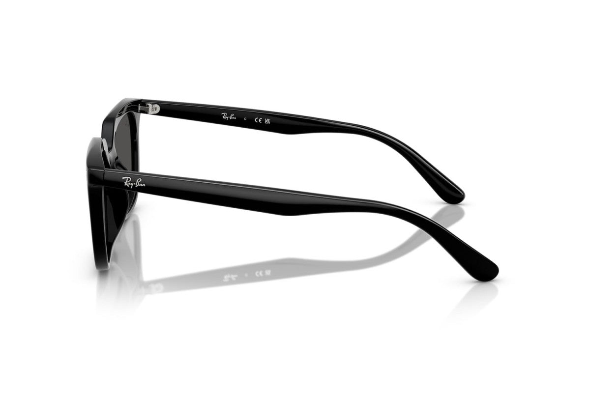 Gafas de Sol Ray Ban Unisex RB4439D
