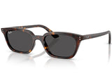Gafas de Sol Ray Ban Zaya Unisex RB4456