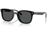 Gafas de Sol Ray Ban Unisex RB4461D