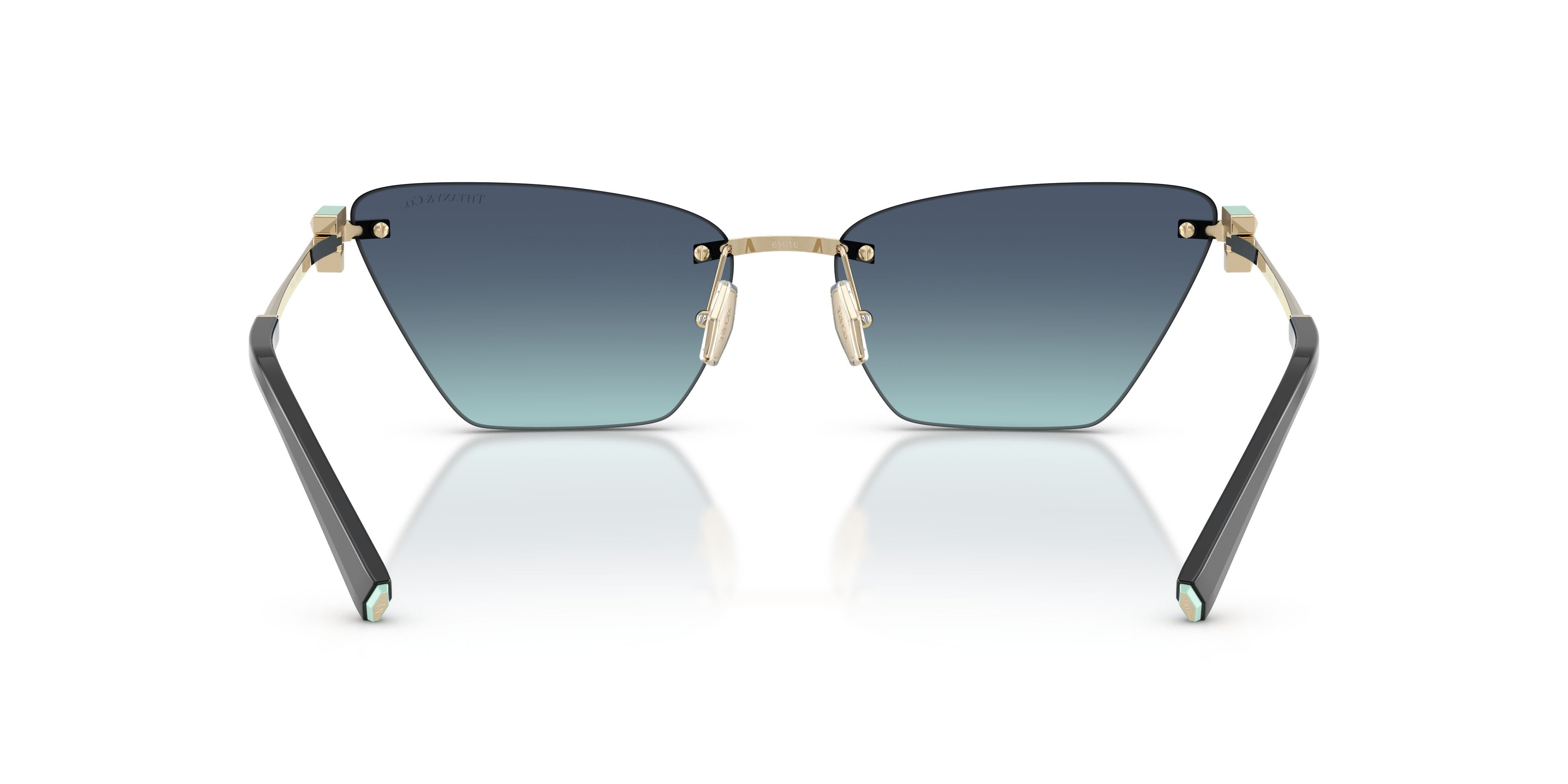 Gafas de Sol Tiffany & Co Unisex Tf3120