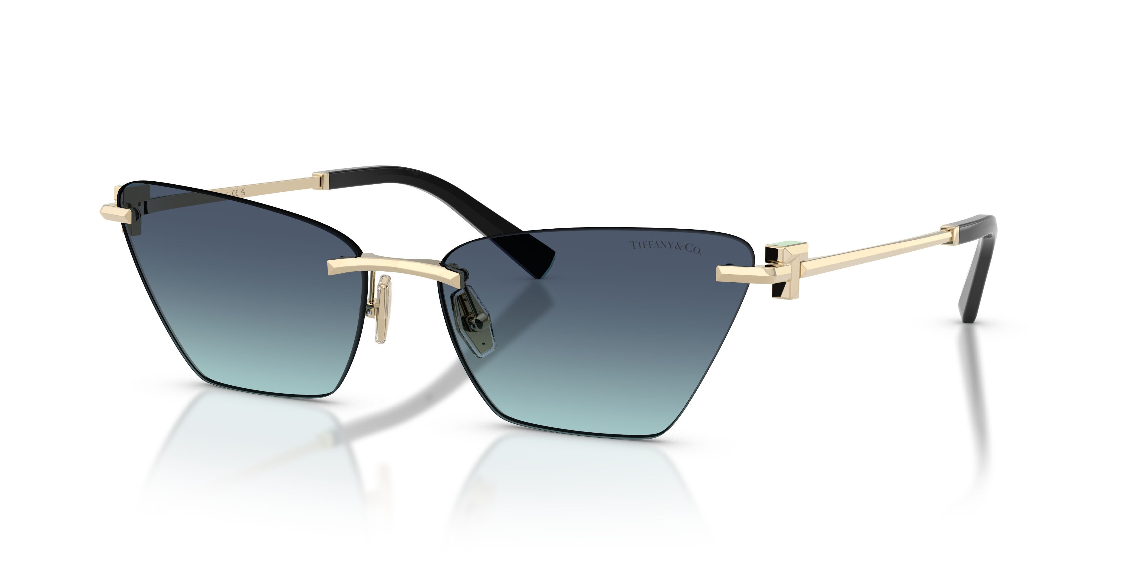 Gafas de Sol Tiffany & Co Unisex Tf3120