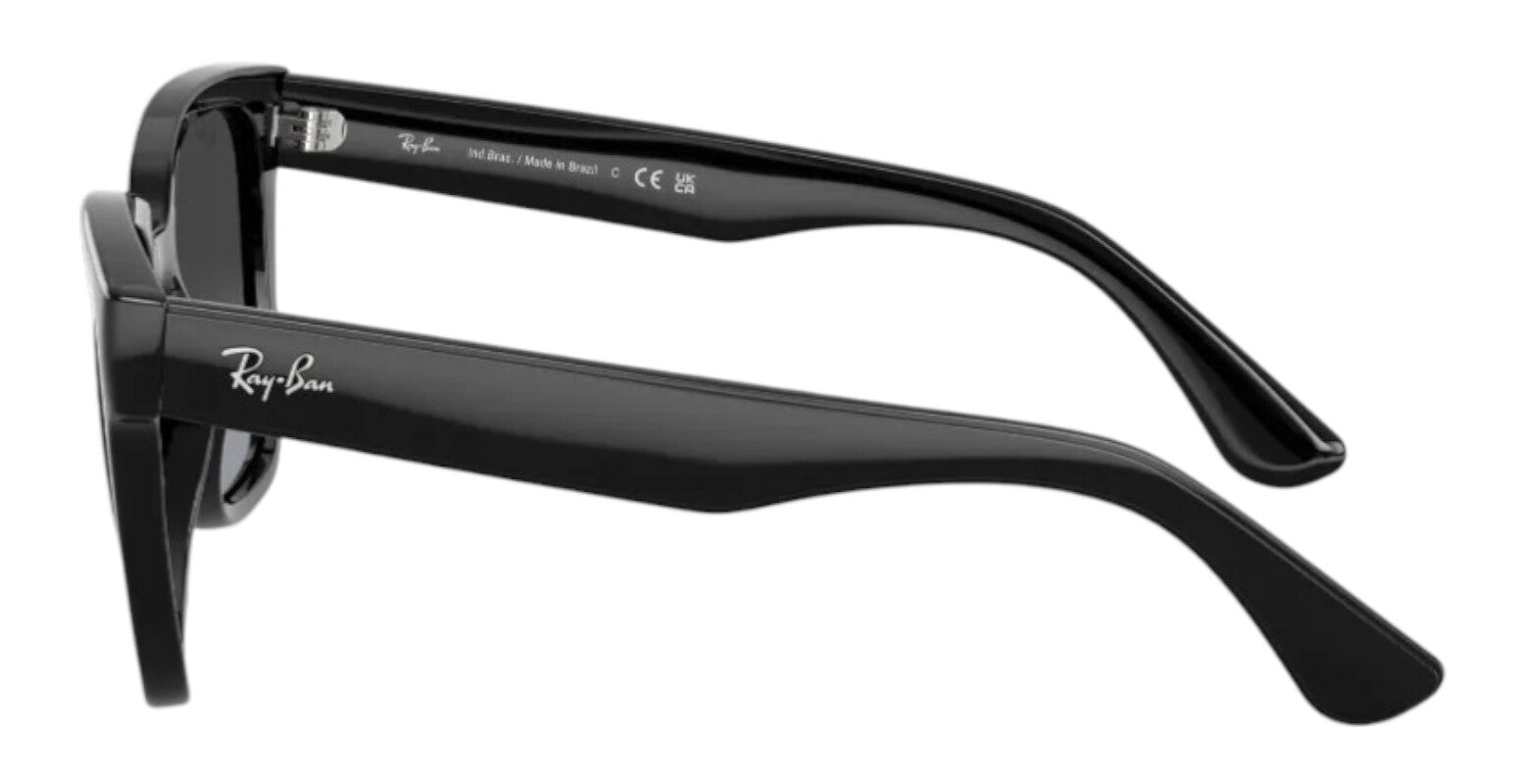 Gafas de Sol Ray Ban Unisex RB4437L