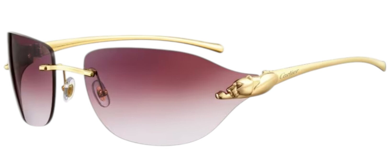 Gafas de Sol Cartier Unisex CT0068S