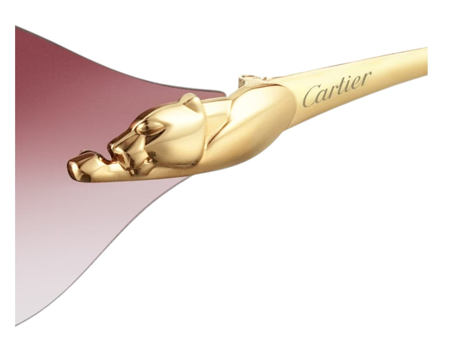 Gafas de Sol Cartier Unisex CT0068S
