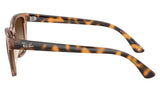 Gafas de Sol Ray Ban Unisex RB4448L
