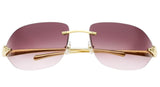 Gafas de Sol Cartier Unisex CT0068S