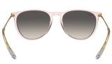 Gafas de Sol Ray Ban Mujer RB4171