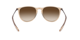 Gafas de Sol Ray ban RB4171