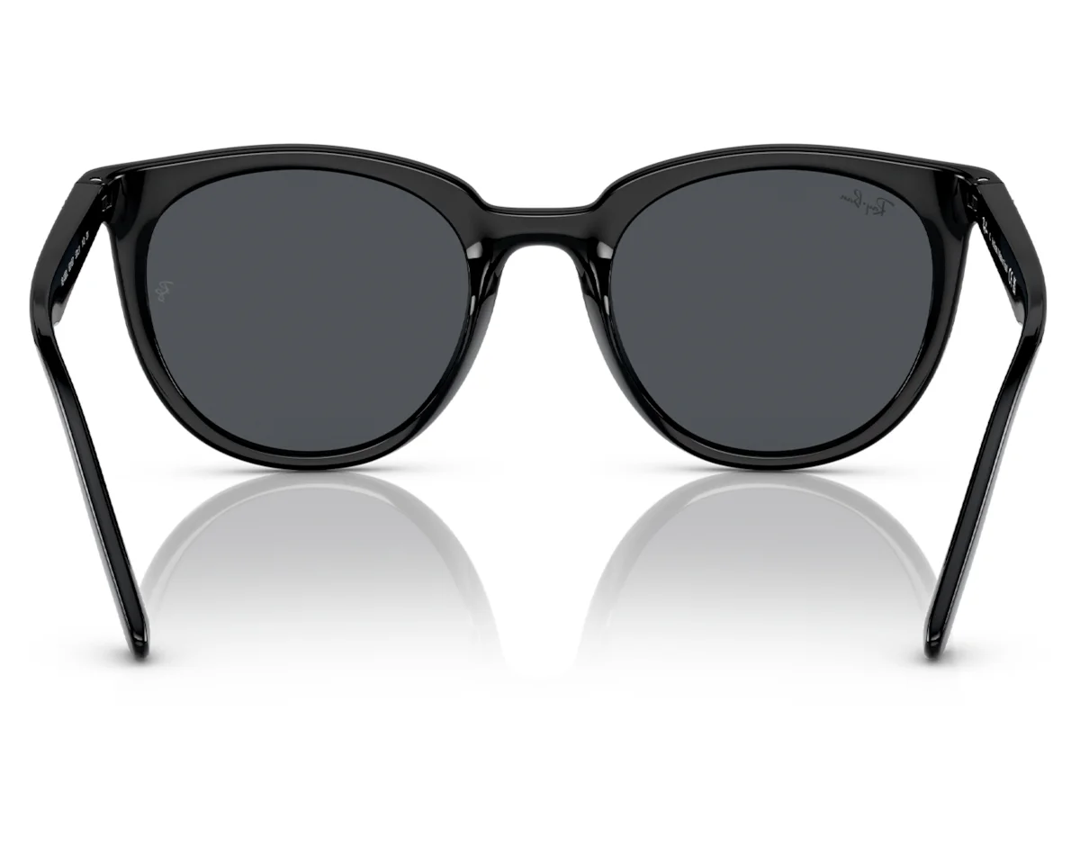 Gafas de Sol Ray Ban Unisex RB4383L
