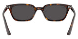 Gafas de Sol Ray Ban Zaya Unisex RB4456
