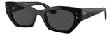 Gafas de Sol Ray Ban Zena Unisex RB4430
