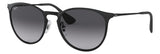 Gafas de Sol Ray Ban Erika Unisex Rb3539