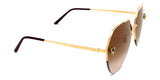 Gafas de Sol Cartier Unisex CT0355S