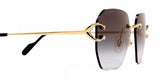 Gafas Cartier Unisex CT0394S