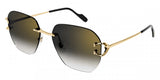 Gafas Cartier Unisex CT0394S