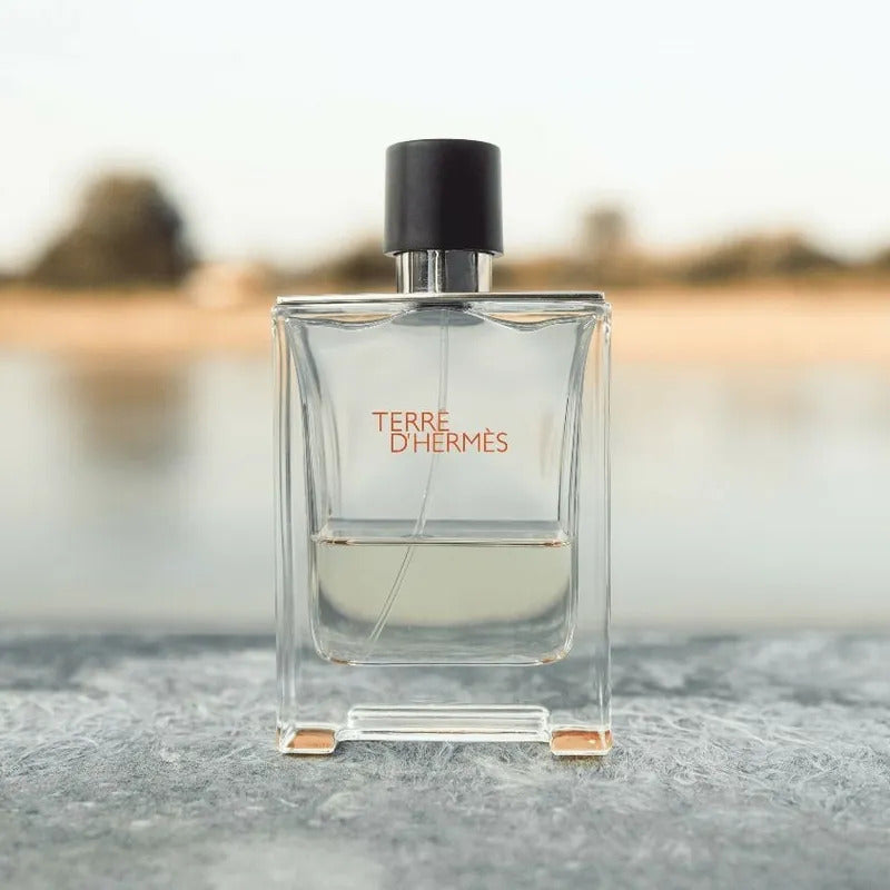 Terre D'hermes EDT 100 ml