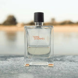 Terre D'hermes EDT 100 ml