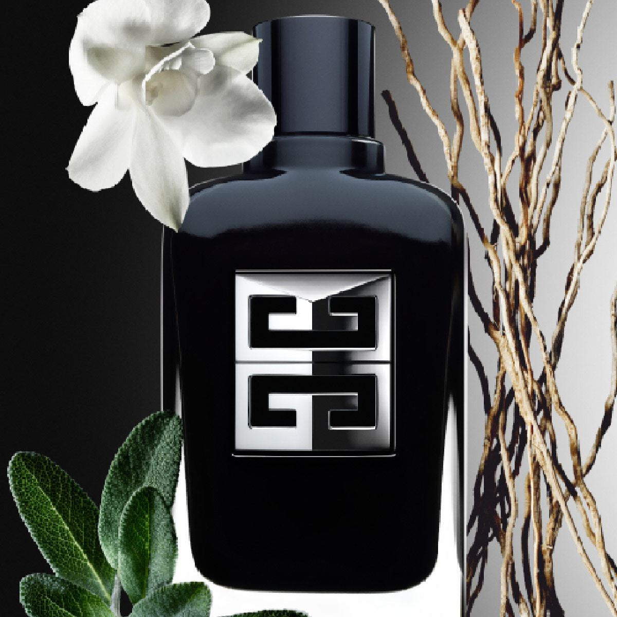 Gentleman Society EDP 100 ml