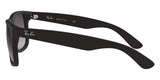 Gafas Ray Ban RB4165L