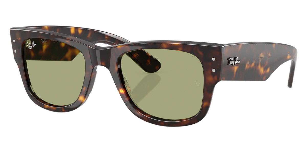 Gafas Ray Ban RB0840S