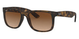 Gafas Ray Ban Justin Unisex RB4165
