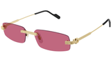 Gafas de Sol Cartier CT0535S