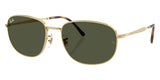 Gafas Ray Ban RB3754
