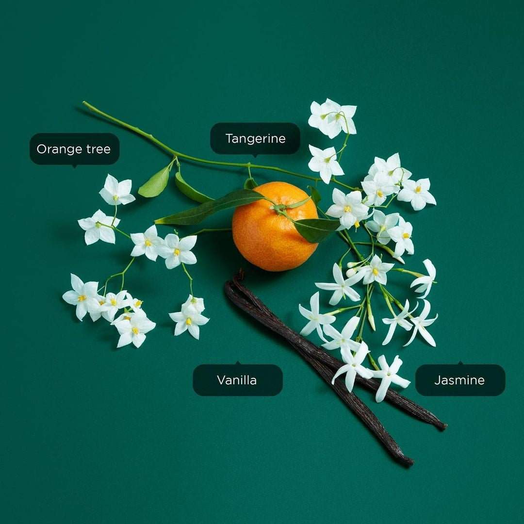 Sisterland Green Jasmine  EDT 80 ml