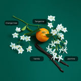 Sisterland Green Jasmine  EDT 80 ml