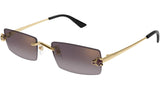 Gafas de Sol Cartier Unisex CT0598S