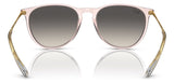 Gafas de Sol Ray Ban Erika Rosadas Unisex Lentes Grises RB4171 - 67421154