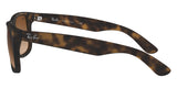 Gafas Ray Ban Justin Unisex RB4165
