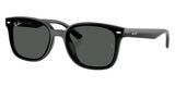 Gafas Ray Ban RB4461D