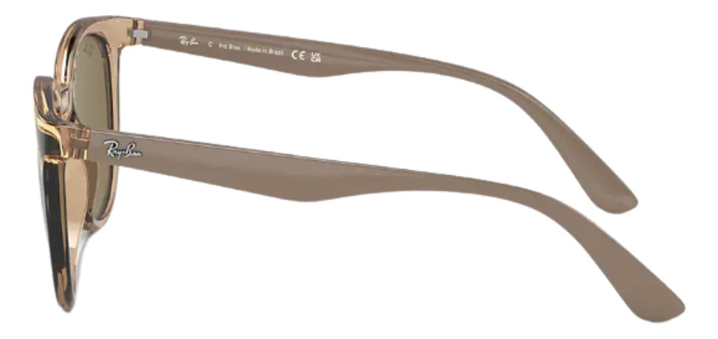 Gafas De Sol Ray Ban Unisex Rb4383l