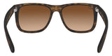Gafas Ray Ban Justin Unisex RB4165