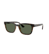 Gafas Ray Ban RB4448L