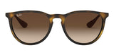 Gafas de Sol Ray Ban Erika Mujer Lentes Marrón RB4171L