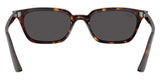 Gafas de Sol Ray Ban Zaya Unisex RB4456