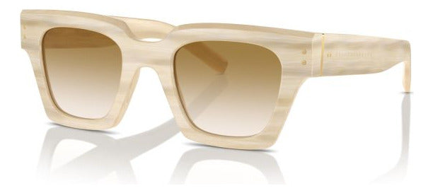 Gafas de Sol Dolce & Gabbana Marrón Claro Hombre Lentes Marrón DG4413